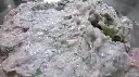mon-cha-ca-ro-phi-1-scaled.webp